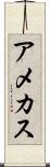アメカス Scroll