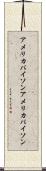 アメリカバイソン Scroll