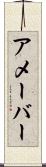 アメーバー Scroll