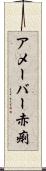 アメーバー赤痢 Scroll