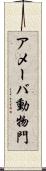 アメーバ動物門 Scroll