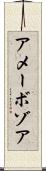 アメーボゾア Scroll