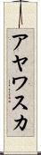 アヤワスカ Scroll