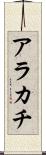 アラカチ Scroll