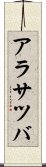 アラサツバ Scroll