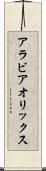 アラビア・オリックス Scroll