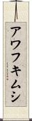 アワフキムシ Scroll
