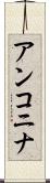 アンコニナ Scroll