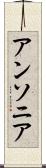 アンソニア Scroll