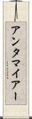 アンタマイアー Scroll