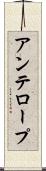 アンテロープ Scroll