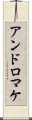 アンドロマケ Scroll