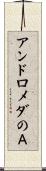 アンドロメダのＡ Scroll