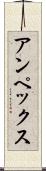 アンペックス Scroll