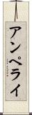 アンペライ Scroll