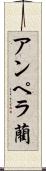 アンペラ藺 Scroll
