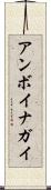 アンボイナガイ Scroll