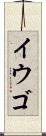 イウゴ Scroll