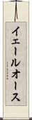 イェールオース Scroll