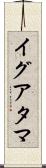イグアタマ Scroll