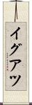イグアツ Scroll