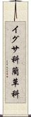 イグサ科 Scroll