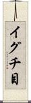 イグチ目 Scroll