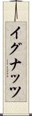 イグナッツ Scroll