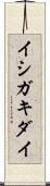 イシガキダイ Scroll