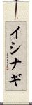 イシナギ Scroll