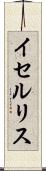 イセルリス Scroll