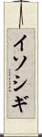イソシギ Scroll