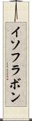 イソフラボン Scroll