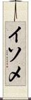 イソメ Scroll