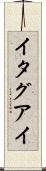 イタグアイ Scroll