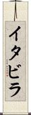 イタビラ Scroll