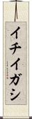 イチイガシ Scroll