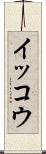 イッコウ Scroll