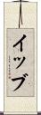 イッブ Scroll