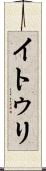 イトゥリ Scroll