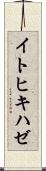 イトヒキハゼ Scroll