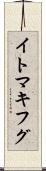イトマキフグ Scroll