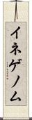 イネゲノム Scroll