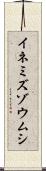 イネミズゾウムシ Scroll