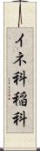 イネ科 Scroll