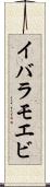 イバラモエビ Scroll
