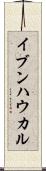 イブンハウカル Scroll