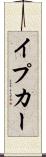 イプカー Scroll