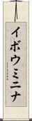 イボウミニナ Scroll