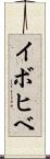 イボヒベ Scroll